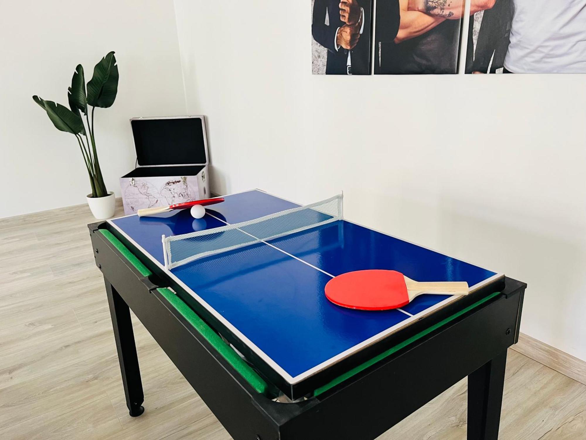 Filmap-charmant-modern-zentral-balkon-beamer-spieletisch Apartment