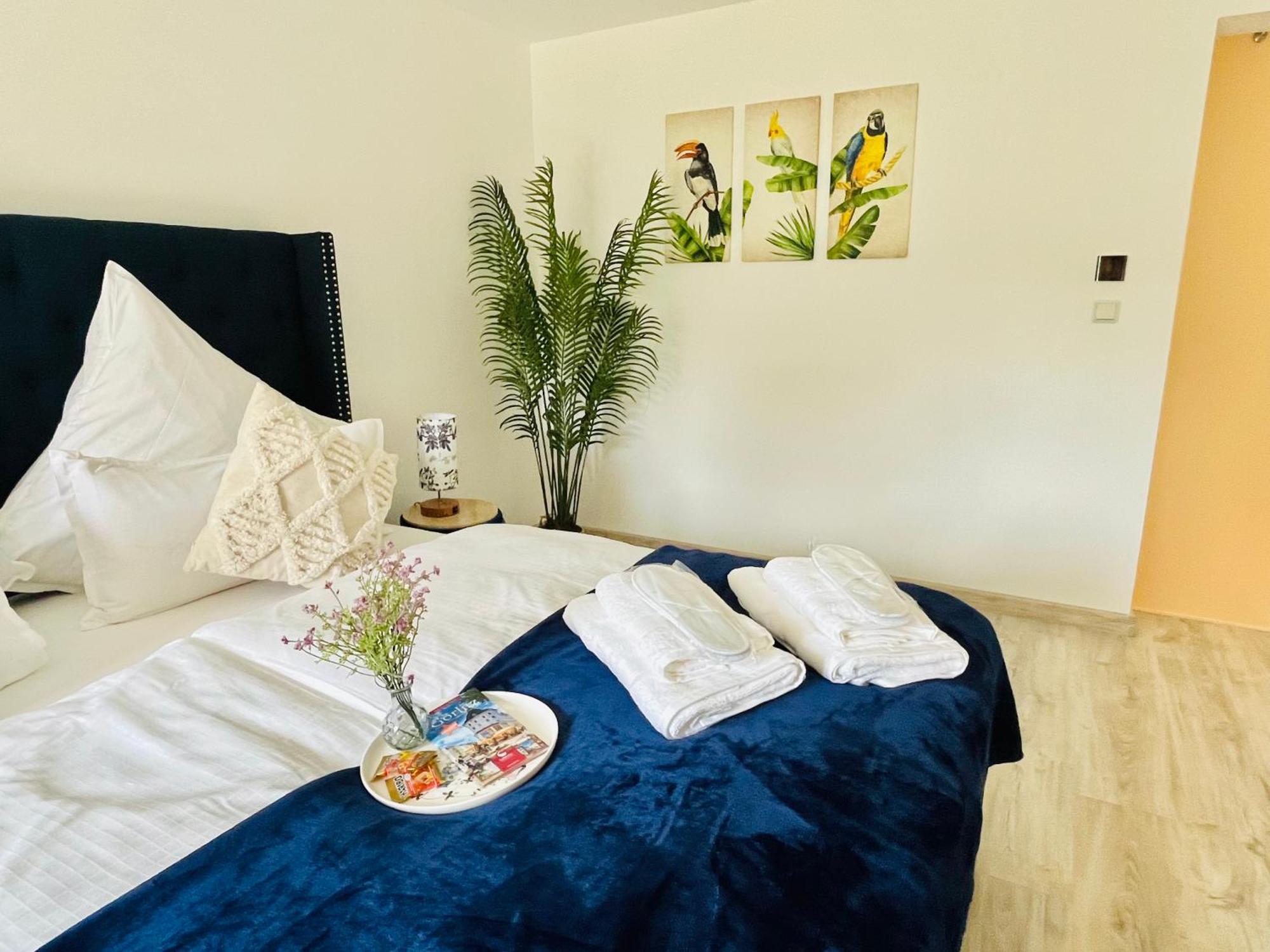 Filmap-charmant-modern-zentral-balkon-beamer-spieletisch Apartment *